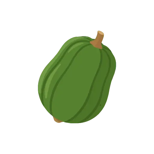 Acorn squash icon
