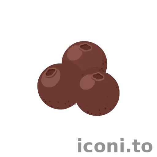 Allspice icon