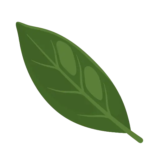 Bay leaf icon