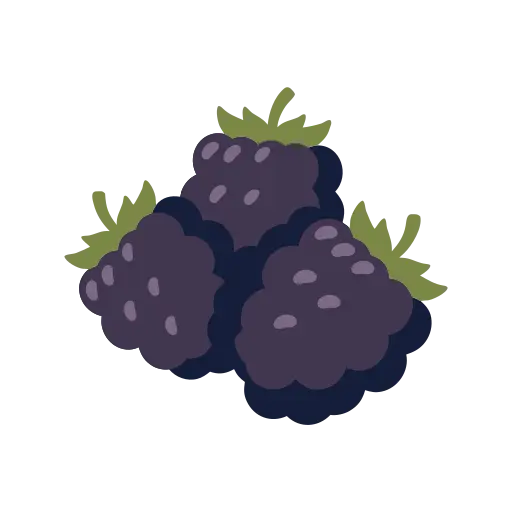 Blackberry icon