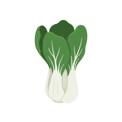 Bok choy icon
