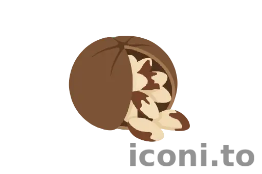 Brazil nut icon