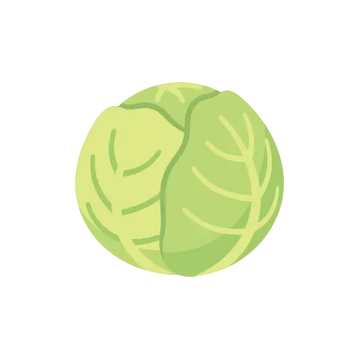 Cabbage icon