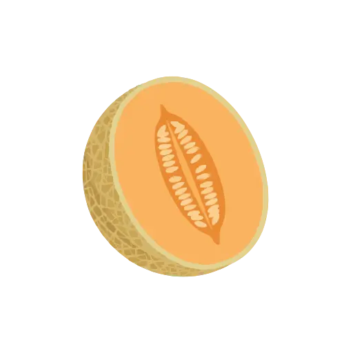 Cantaloupe icon