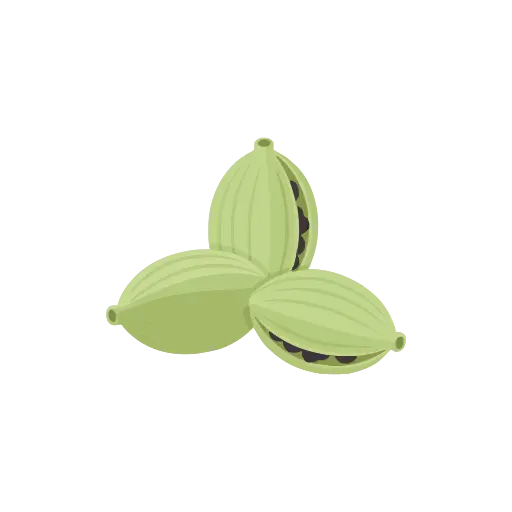 Cardamom icon