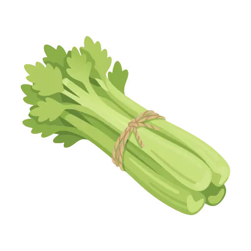 Celery icon