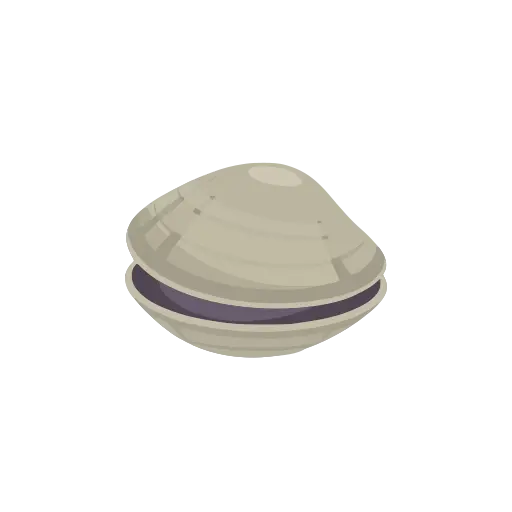 Clam icon
