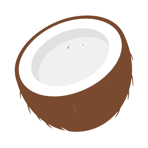 Coconut icon