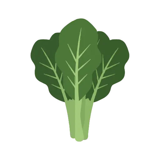 Collard greens icon