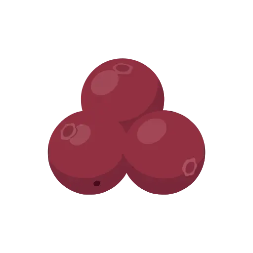 Cranberry icon