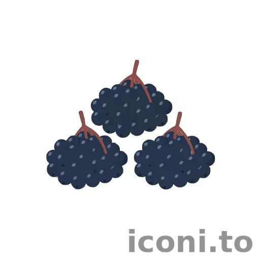 Elderberry icon