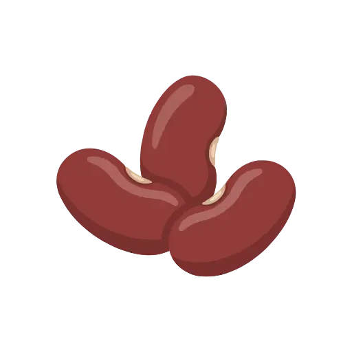 Kidney bean icon
