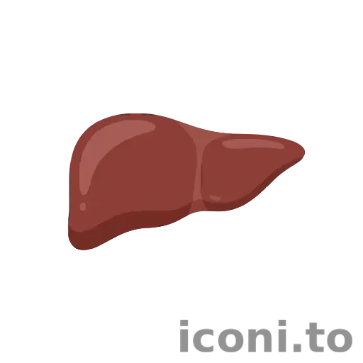 Liver icon