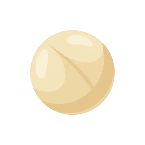 Macadamia icon