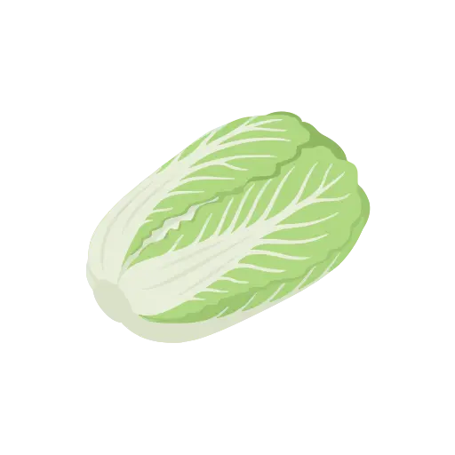 Napa cabbage icon