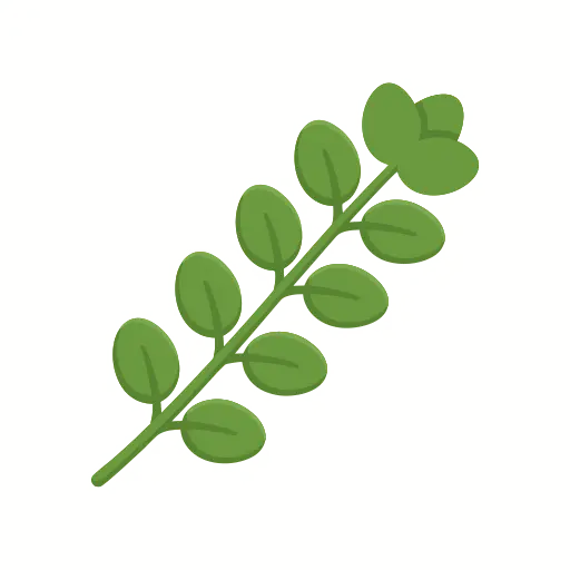 Oregano icon