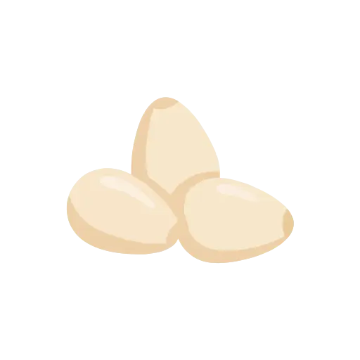 Pine nut icon