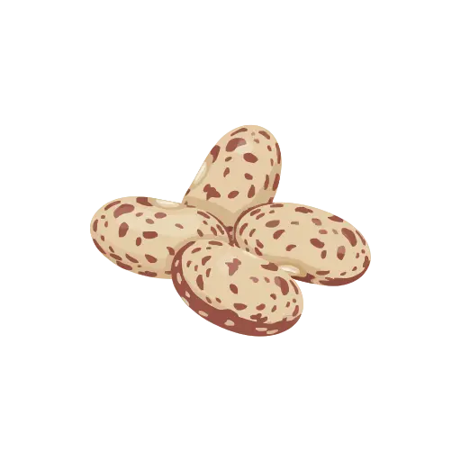 Pinto bean icon