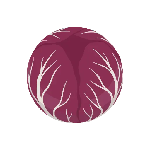 Radicchio icon