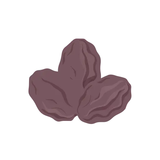 Raisin icon