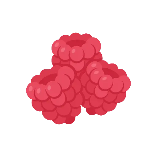 Raspberry icon
