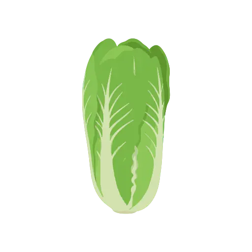 Romaine lettuce icon