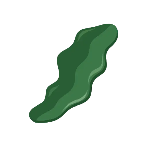 Seaweed icon