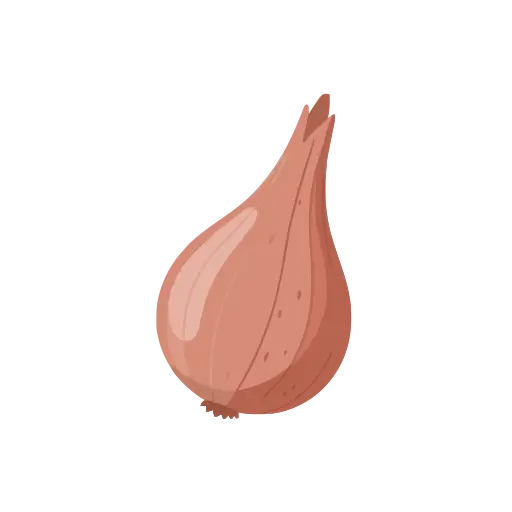 Shallot icon