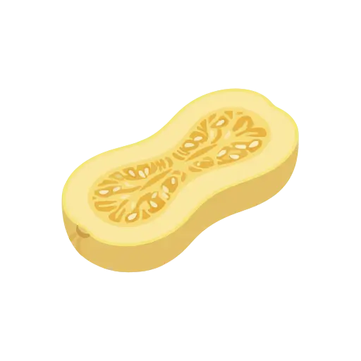 そうめんかぼちゃアイコン