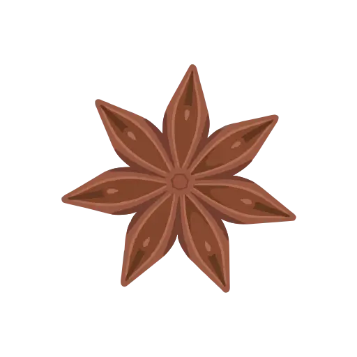 Star anise icon