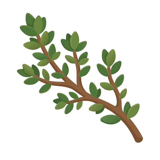 Thyme icon