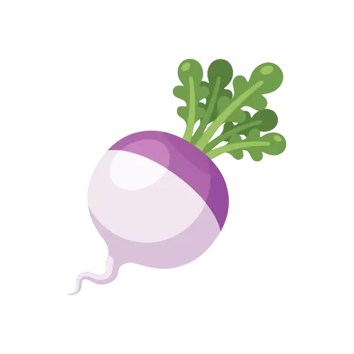 Turnip icon