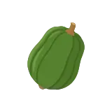 Acorn squash icon
