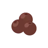 Allspice icon