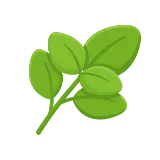 Basil icon