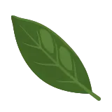 Bay leaf icon