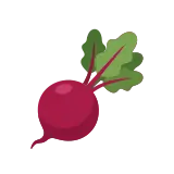 Beet icon