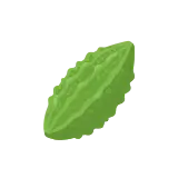 Bitter melon icon