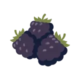 Blackberry icon