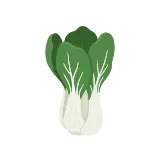 Bok choy icon