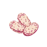 Borlotti bean icon