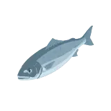 Branzino icon