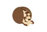 Brazil nut icon