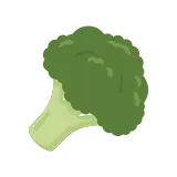 Broccoli icon