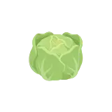 Butterhead lettuce icon