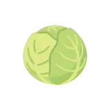 Cabbage icon