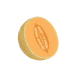 Cantaloupe icon