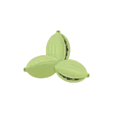Cardamom icon