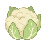 Cauliflower icon