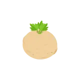 Celeriac icon